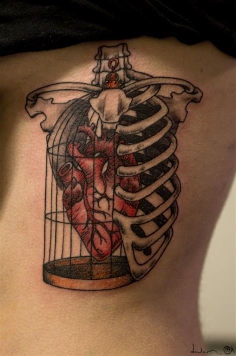 The ribs help protect vital organs in the thorax such as the heart. Creative Heart in Cage Tattoo | Anatomical tattoos, Cage ...