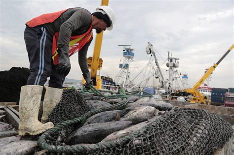 Nueva Ley De Acuicultura Y Pesca Regulará Impulsará Y Fomentará El