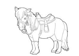 Wij hebben kleurplaten van springpaarden, dressuurpaarden, pony's en meer! Paarden Kleurplaat
