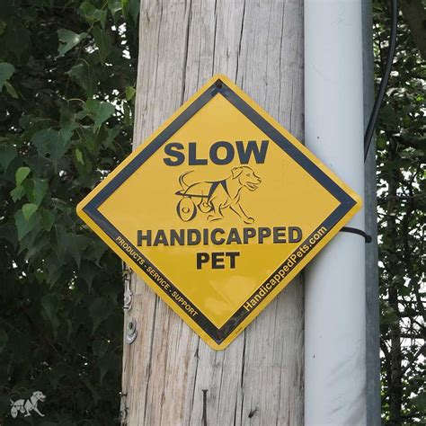 We make all our signs from handicap parking sign, handicapped sign, large 12x18 3m reflective (egp) rust free.63. Disabled Pets | Dog Crossing Sign | Dog Signs ...