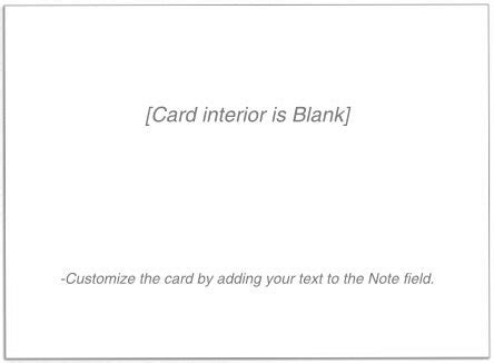 Blank Note Card – Blue Bird Cards
