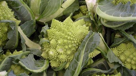 * looking for regular broccoli seeds? romanesco broccoli by Rebecca Feind, via Flickr ...