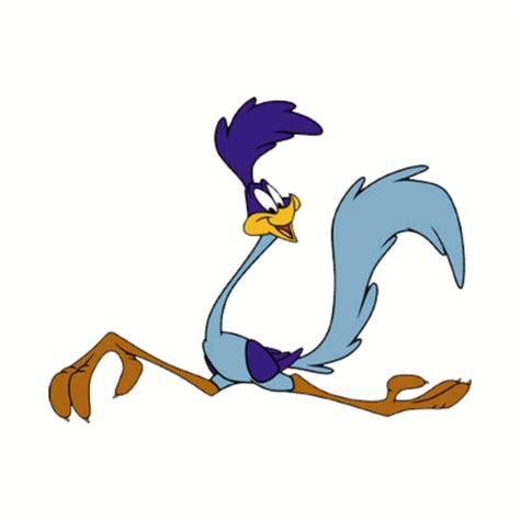 Looney Tunes The Road Runner Animation Kids Long