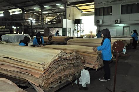 We promised the best quality supply of wood products like plywood, mgo board, chipboard, mdf board, and laminated plywood. Permint Plywood Sdn Bhd Mula Operasi Sepanjang PKP 3 ...
