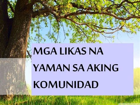 Mga Likas Na Yaman