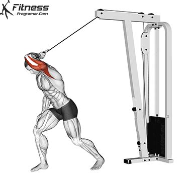One Arm High Pulley Overhead Tricep Extension Workout Planner