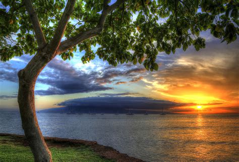 Available in both radiance and open exr format. Pictures Hawaii USA HDRI Ocean Nature sunrise and sunset Coast Trees
