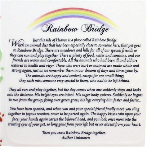 Free Rainbow Bridge Poem Rainbow Bridge Poem For Dogs And Cats