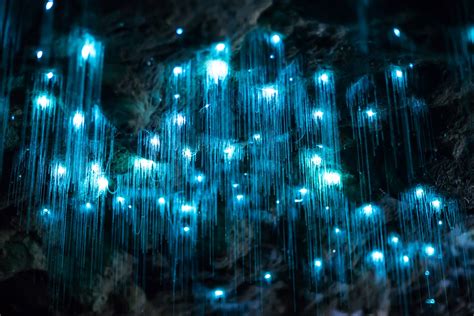 Dazzling Video Of A Glowworm Cave In New Zealand