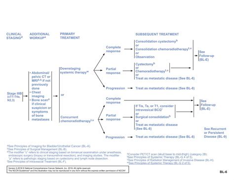 What are the nccn guidelines for mpm treatment? NCCN Guidelines Insights: Bladder Cancer, Version 5.2018 ...