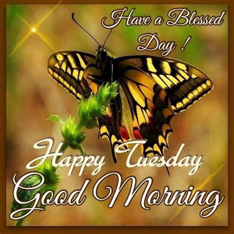 Black folk like any other folk are not all the same. Good Morning Wishes On Tuesday Pictures, Images - Page 13