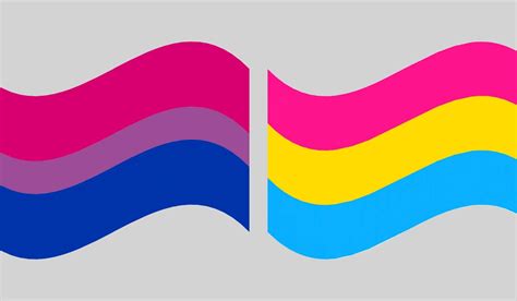 Lgbtq What Is The Difference Between Bisexual And Pansexual