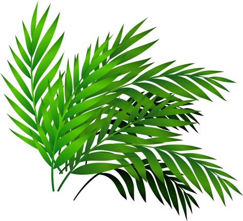 Daun Png / Daun Png - Silvy Gambar - All images is transparent