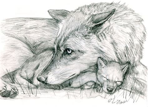I will teach you today how to draw a werewolf in black and white. Wolf and Pup by silvercrossfox.deviantart.com on ...