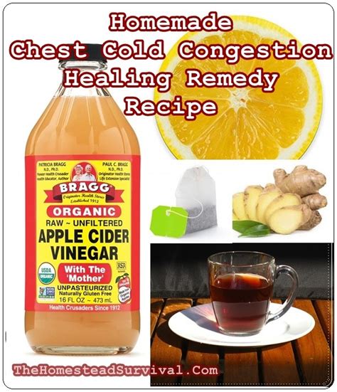 Homemade Chest Cold Congestion Healing Remedy Recipe The Homestead
