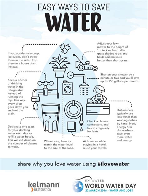 World Water Day Water Conservation Tips Kelmann Restoration