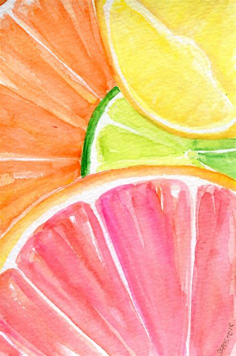 We provide the cute and functional stationeries from worldwide, notebook, pen, sticker, planner, paper, pencil and. Citrus original watercolor painting, citrus fruit ...