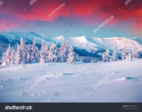 Colorful Winter Scene Snowy Mountains Fresh Stock Photo 345938711