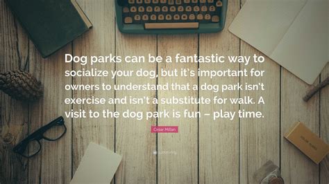 Cesar Millan Quote “dog Parks Can Be A Fantastic Way To Socialize Your