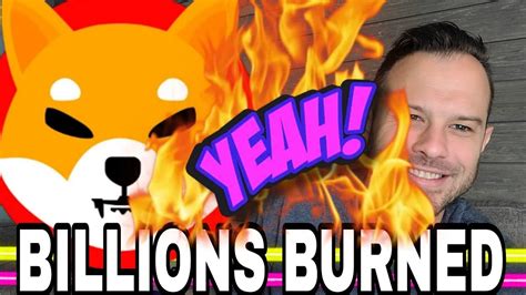 Shiba Inu Coin Billions Of Shib Burned This Is How Much Shib Was Burned Last Week Youtube