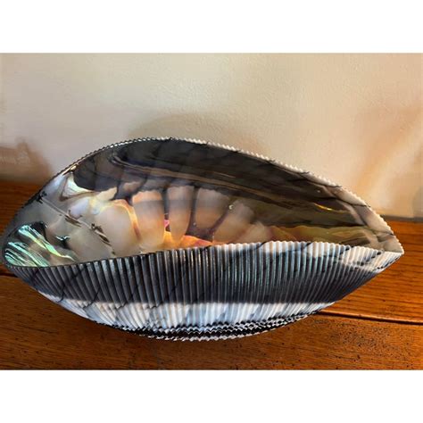 Large Seashell Centerpiece Bowl By Yalos Murano Chairish