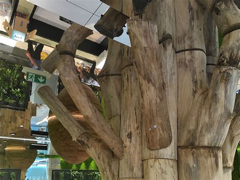 The quality of biogena's products meet all the european pharmacopoeia (ph. Peter Wagensonner Skulpturen & Objekte aus Holz bei ...