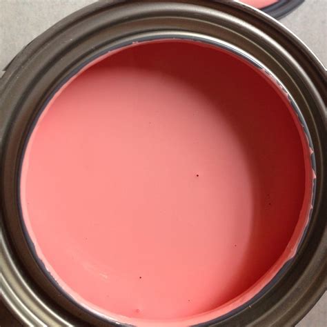 Chelsey Life And Designs Pink Paint Salmon Pink Coral Paint Color