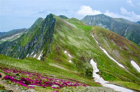 Avem 5 stiri despre varful moldoveanu. Intoarcerea la origini - Valea Ucea Mare - Varful ...