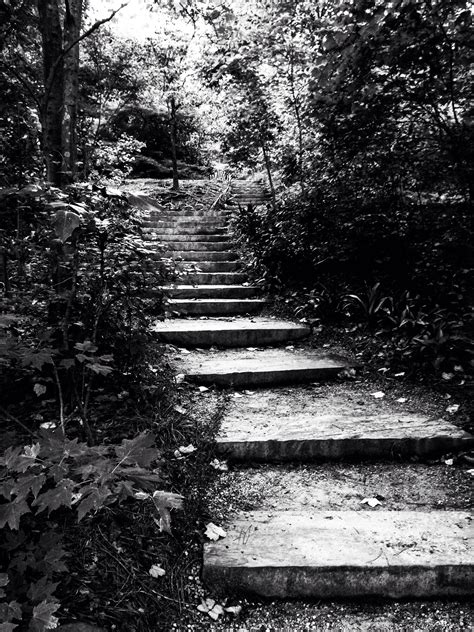 Wow check this amazing b and w landscape photos! #bandwlandscapephotos | Black and white ...