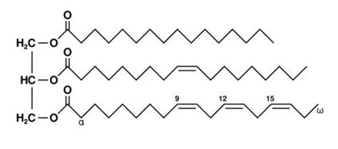 142 Lipids And Triglycerides Chemistry Libretexts