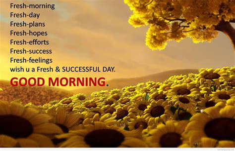 28 best good morning quotes