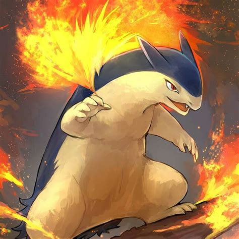 Typhlosion Wiki Pokémon Amino
