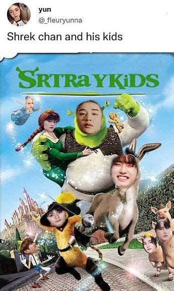 Stray Kids Memesstray Shrekshrek Chan Stray Kids Seungmin Stray Cat