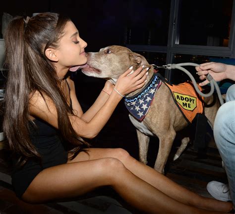 We do it because no one else will. Ariana Grande - BADASS Brooklyn Animal Rescue Adoption ...