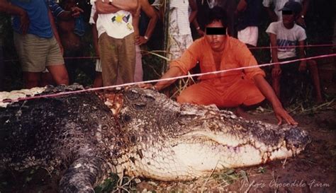 Download lagu legenda bujang senang (7.36mb) dan streaming kumpulan lagu legenda bujang senang (7.36mb) mp3 terbaru di metrolagu hasil diatas adalah hasil pencarian dari anda legenda bujang senang mp3 dan menurut kami yang paling cocok adalah legenda bujang senang. Bujang Senang, Si Buaya 'Godzilla' Asal Iban yang Pernah ...