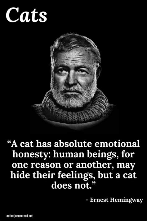Ernest Hemingway Cat Quote Hemmingway Quotes Emotional Honesty Inspirational Quotes