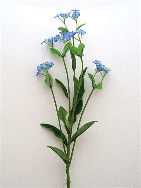 Browse a large selection of silk flowers and fake flowers on houzz, including a variety of artificial orchids, silk roses and silk flower arrangements. Forget-me-not WITHYCOMBE FAIR | Artificial silk flowers ...