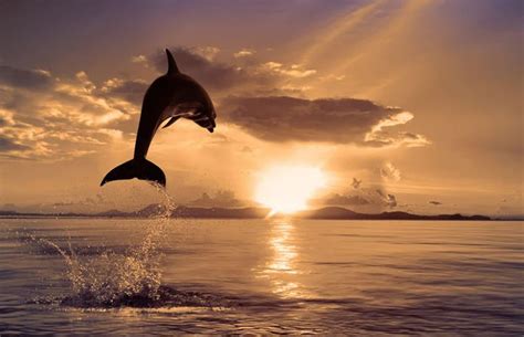 50 Fotos Impresionantes - Imágenes - Taringa!