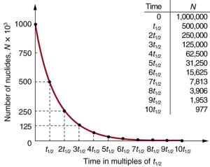 Half Life And Activity Physics