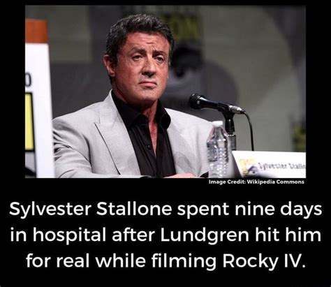 Sylvester Stallone Spent Nine Days In Hospital After Lundgren Hit Him