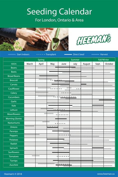 Seeding Starting Guidecalendar For Ontario Heemans When To Plant