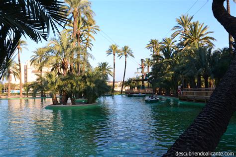Check spelling or type a new query. lago-elche-palmeral-aventuras-2 - Descubriendo ...