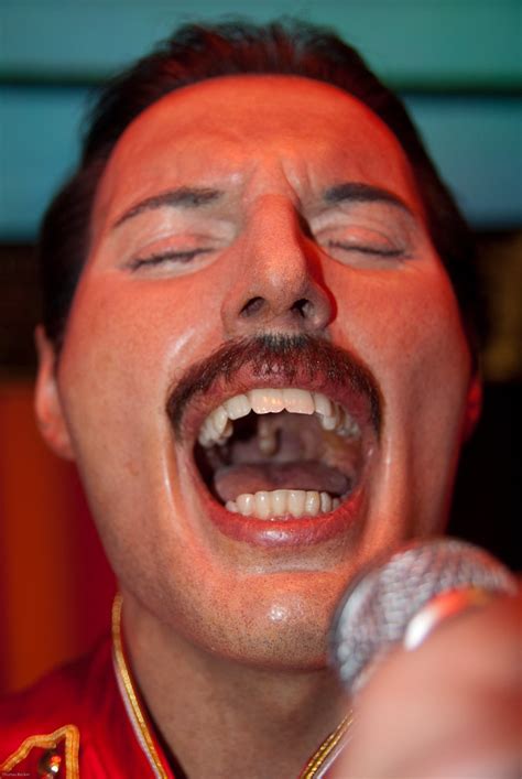 Diese übergroßen kostümzähne wurden nach freddie mercury entworfen, dem leadsänger der beliebten rockband (und einer unserer favoriten) queen. Freddie Mercury (36441) | Freddie Mercury - born on Sept ...