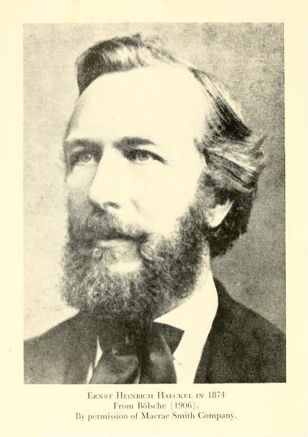 Ernst Haeckel Wikipedia La Enciclopedia Libre