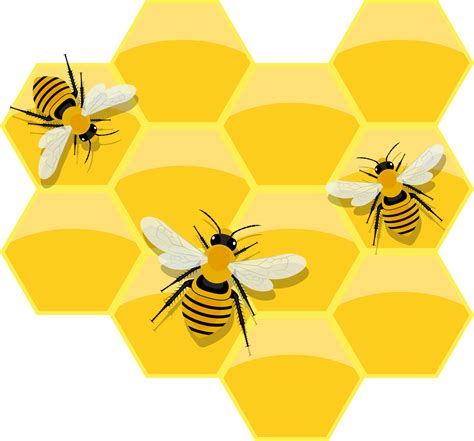 Honeycomb Clipart Design Illustration 9385359 Png