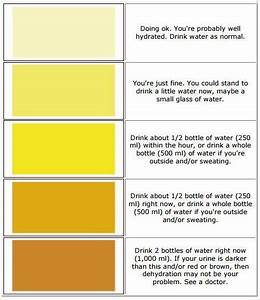 Dehydration Urine Color Chart Color Running In The Heat I Have To