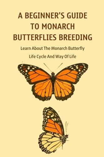 a beginner s guide to monarch butterflies breeding learn about the monarch butterfly life cycle
