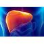 What To Drink For A Healthy Liver  1mhealthtipscom