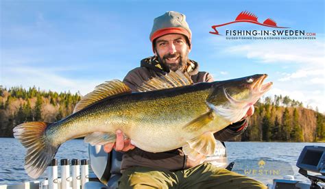 Kristoffer olsson (schweden) bekommt auf dem linken flügel einen freistoß zugesprochen. Henrik Olsson | Guided-Fishing.com