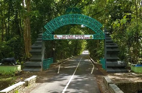 Taman Nasional Alas Purwo Sabana Timur Jawa